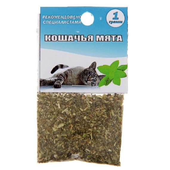 Кошачья мята (1 гр.)